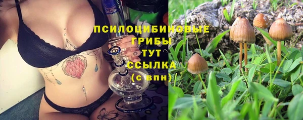 ECSTASY Волосово